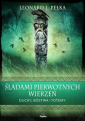 Śladami pierwotnych wierzeń. Duchy, bóstwa, totemy