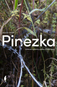 logo Pinezka. Historie z granicy polsko-białoruskiej