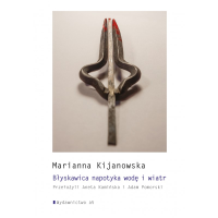 logo Błyskawica napotyka wodę i wiatr