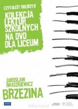 logo Brzezina