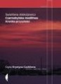 Czarnobylska modlitwa. Kronika przyszłości. Audiobook