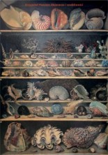 logo Zbieracze i osobliwości. Paryż - Wenecja XVI-XVIII wiek