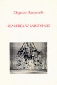 Spacerek w labiryncie